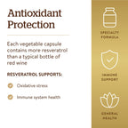 Buy now Solgar Resveratrol 500 mg, 30 Vegetable Capsules - Antioxidant Protection - Gluten Free, Dairy Free - 30 Servings at indiglob india
