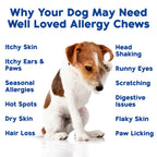 Well Loved Dog Allergy Chews, Dog Allergy Relief, USA Made, Vet Developed