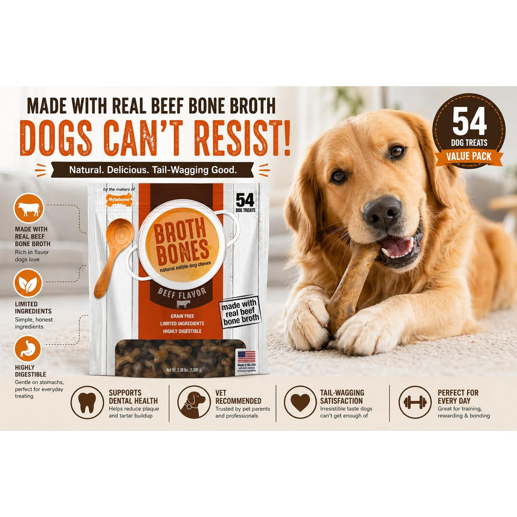 Nylabone Beef Broth Bones Dog Treats (Net 54Count), 2.38 Lb