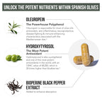 Total Olive® - Olive Leaf Extract (40% Oleuropein) Plus Olive Fruit Extract