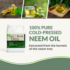 Neem Bliss (8 Fl Oz) - Pure Neem Oil Concentrate - 100% Cold Pressed Neem Oil - All-Natural Neem Oil Concentrate - Pure Neem Oil Extract - Unrefined Neem Oil for Hair - Neem Seed Oil Concentrate