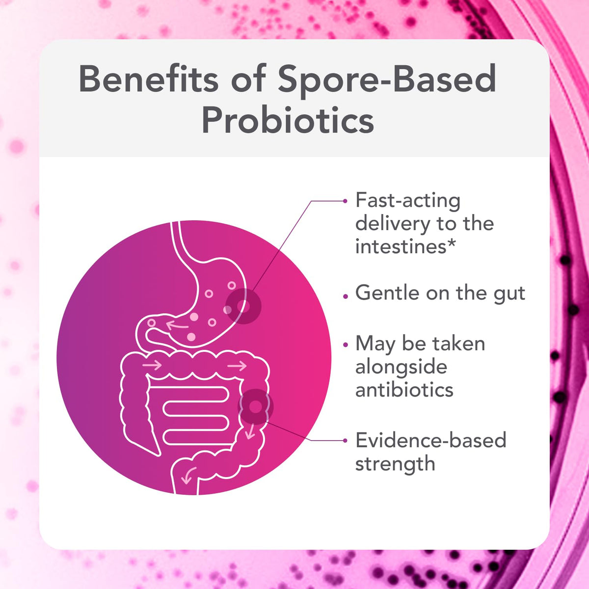Biocidin Proflora 4R Spore Probiotic for Gut Health & Digestion, 30 Count