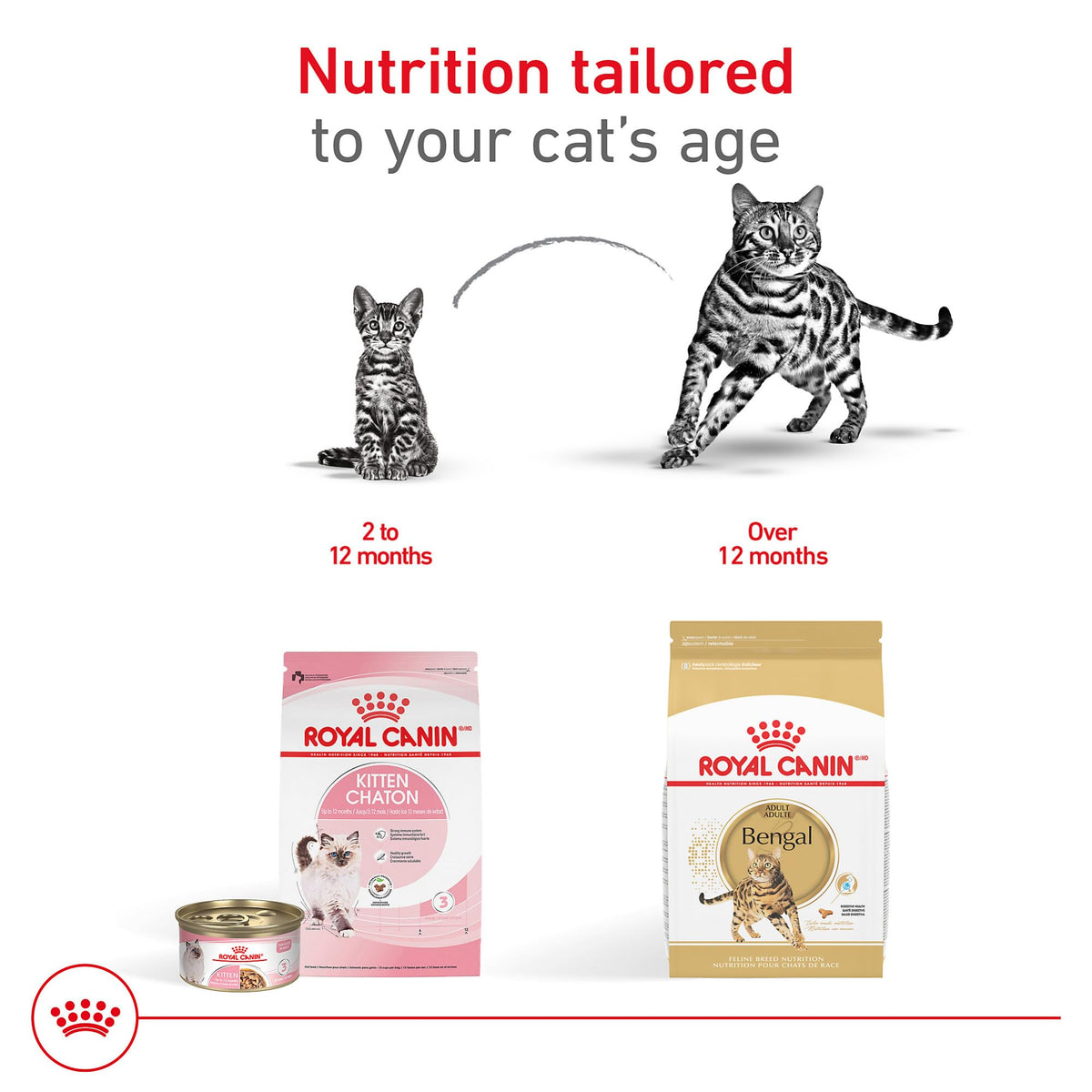 Royal Canin Feline Breed Nutrition Bengal Adult Dry Cat Food, 7 lb Bag