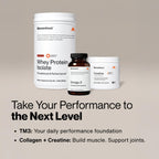 Momentous Creatine Monohydrate Powder, 5g per Serving, Unflavored | Supports Lean Muscle, Strength, Recovery, & Cognitive Function, NSF Certified for Sport, Non-GMO & Gluten-Free (90 Servings)
