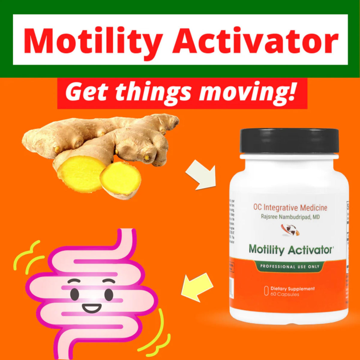 Motility Activator by Dr. Rajsree, MD | Digestive Support for Gas, Bloating & Occasional Constipation | Promotes Small Intestine Movement | Ginger & Artichoke Extract | 60 Capsules