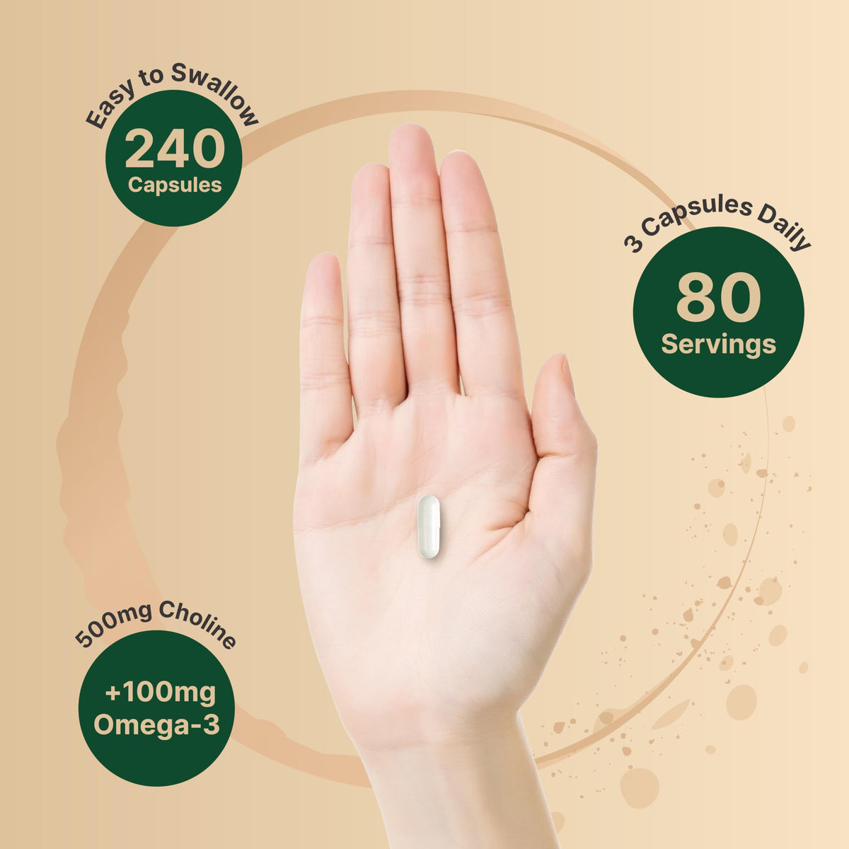 NatureBell Choline 500 mg with Omega-3 Fatty Acids, 240 Capsules | Extra Strength 2-in-1 Choline Bitartrate Formula | Non-GMO