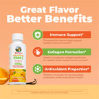 MaryRuth's Megadose Liquid Vitamin C 500mg Liposomal, Vegan, 30 Servings