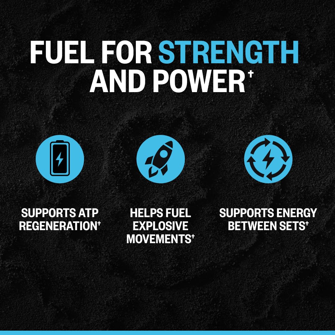 ONNIT Creatine Monohydrate Powder 5g, Unflavored, 30 Servings | IGEN Non-GMO Tested; 5g creatine per serving supports muscle strength, power, lean mass & brain cellular energy; no fillers