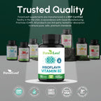 ForestLeaf Vitamin B2 riboflavin 400mg, Non GMO Gluten Free, 90 Count | High-Potency B2 Vitamin For Cellular Energy, Skin And Nervous System Support; Non-GMO, Gluten-Free, Vegetarian, Made In USA