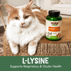 Buy now NOW Pet Health, L-Lysine Supplement, Powder, Formulated for Cats, NASC Certified, 8-Ounce at indiglob india