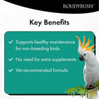 Buy now Roudybush Daily Maintenance Food for Birds - Scientifically Formulated Bird Feed - Bird Food Pellets w/Corn, Wheat, Soy & More - Nutritious & Healthy Feed for Birds (Medium, 22oz) at indiglob india