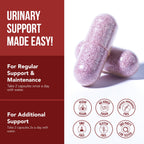CranEaze®: Cranberry Juice Extract Plus D-Mannose – 36 mg PAC, 100% Soluble PAC - Supports Urinary Tract Health – Most Effective Cranberry Pills for Women, UTI Cranberry Supplement - 60 Capsules