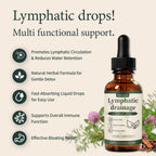 Lymphatic Drainage–Lymphatic Drainage Drops Cleanse & Bloat Relief Supports Lymphatic Health (2 Fl Oz)