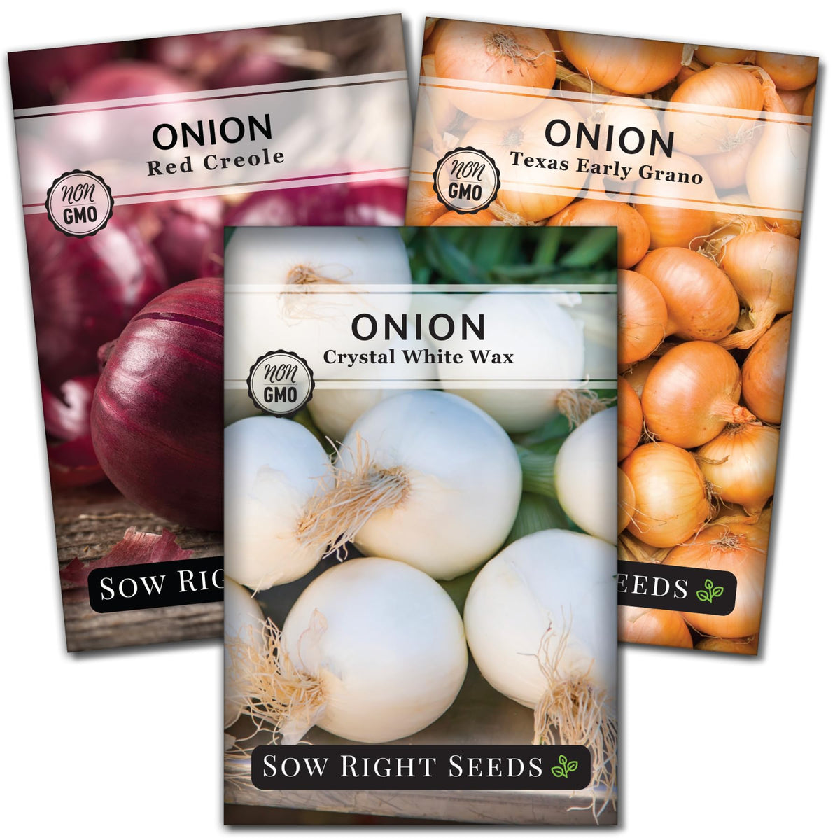 Sow Right Seeds - Short Day Onion Seed Collection for Planting Home Garden
