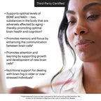 THORNE - Brain Factors - Brain Health Supplement with Nicotinamide Riboside, Coffee Fruit Extract & Betaine Anhydrous - Supports Learning, Memory & Cognition* - Third-Party Certified - 30 Capsules