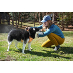 Sawyer Products SP624 Permethrin, Permethrin for Dogs Insect Repellent Treatment