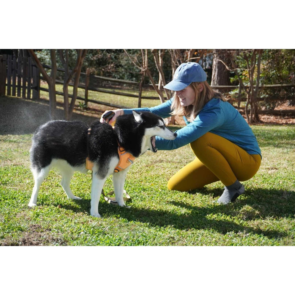 Sawyer Products SP624 Permethrin, Permethrin for Dogs Insect Repellent Treatment