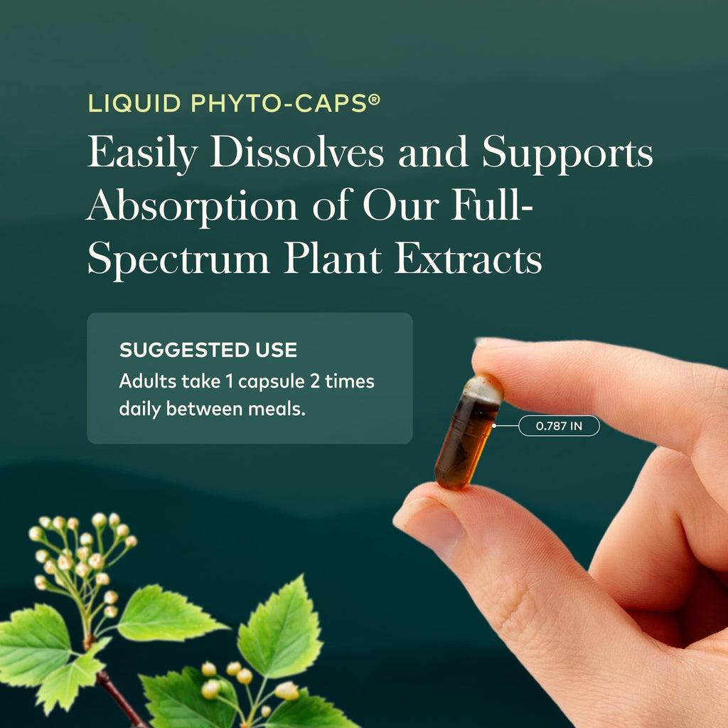 Gaia Herbs Rhodiola Rosea - Stress Support Supplement Traditionally for Supporting Healthy Stamina & Endurance* - with Siberian Rhodiola Root Extract - 60 Vegan Liquid Phyto-Caps (60 Servings)