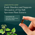Gaia Herbs Rhodiola Rosea - Stress Support Supplement Traditionally for Supporting Healthy Stamina & Endurance* - with Siberian Rhodiola Root Extract - 60 Vegan Liquid Phyto-Caps (60 Servings)