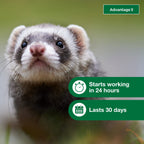 Advantage II Ferret Topical Flea Treatment & Prevention, 2ct