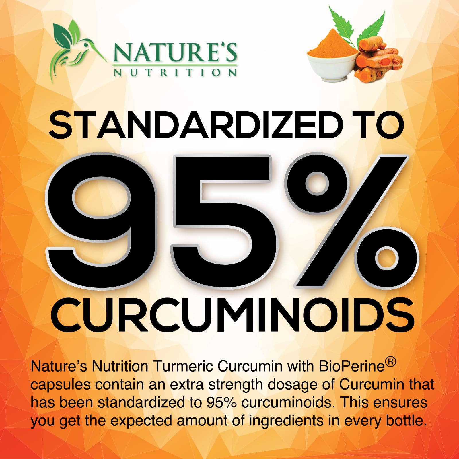 Turmeric Curcumin Supplement 95% Curcuminoids 1950mg with Organic Turmeric & BioPerine Black Pepper Extract for Best Absorption, Natural Vegan Joint Support, Non-GMO, Bottled in USA - 120 Capsules