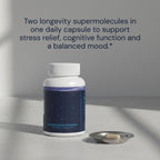 Blueprint Bryan Johnson Ashwagandha & Rhodiola Supplement – 120mg Ashwagandha + Rhodiola Root – Daily Adaptogen Capsules for Stress Support, Mood Balance, Energy & Focus – 30 Vegan Capsules