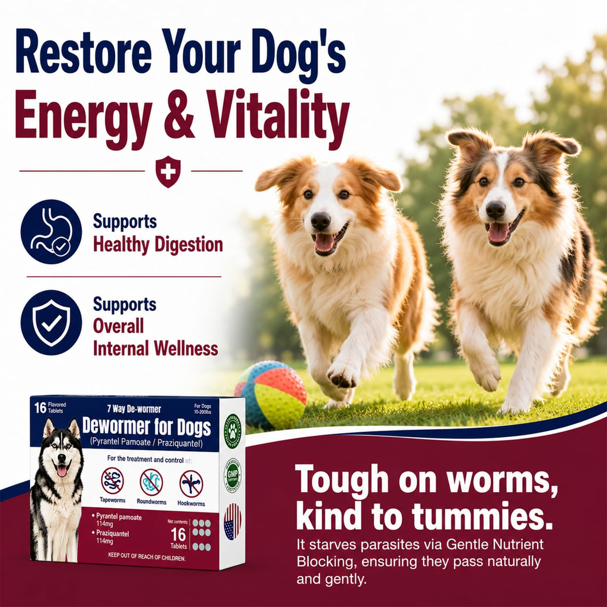 7-Way Dewormer for Dogs, Wormer for Tapeworms, Roundworms & Hookworms in Large Medium Dogs & Puppies (Over 10 lbs), with Praziquantel & Pyrantel Pamoate, 16 Tablets