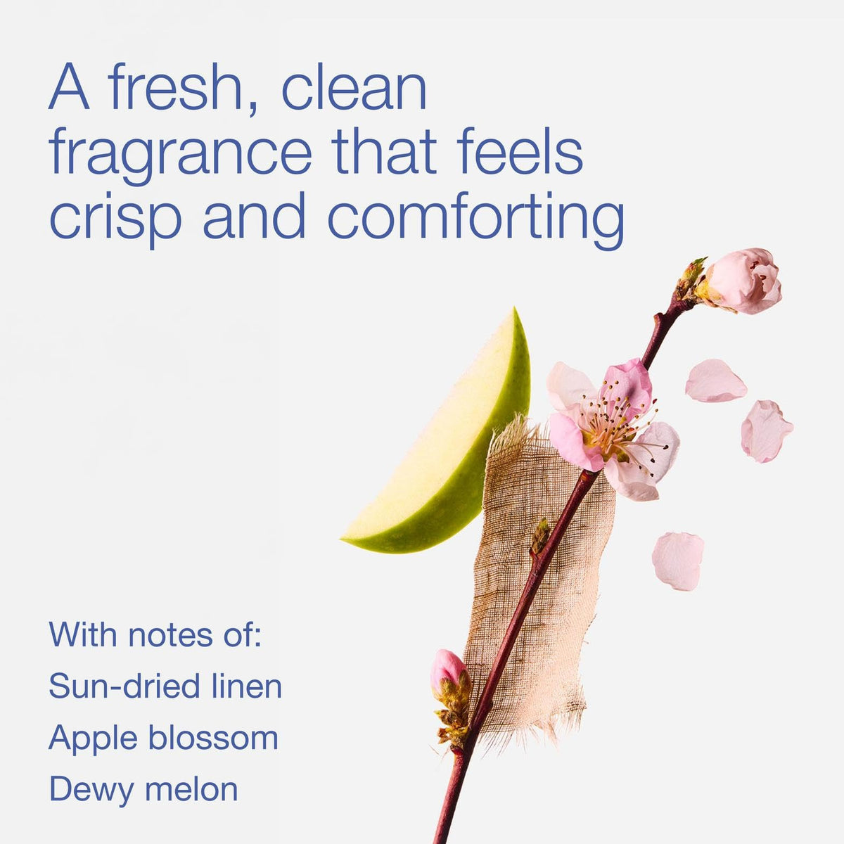 Bath & Body Works Wallflowers Refills, Fresh Linen Scent, 6 Pack