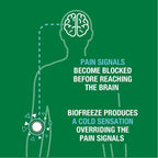 Buy now Biofreeze Pain Relief Spray, Arthritis Pain Reliever, Knee & Lower Back Pain Relief, Sore Muscle Relief, Neck Pain Relief, FSA Eligible, 2 Pack (4 FL OZ Biofreeze Menthol Spray) at indiglob india