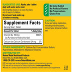 Nature Made Vitamin B-6 100 mg Tablets 100 ea (Pack of 4)