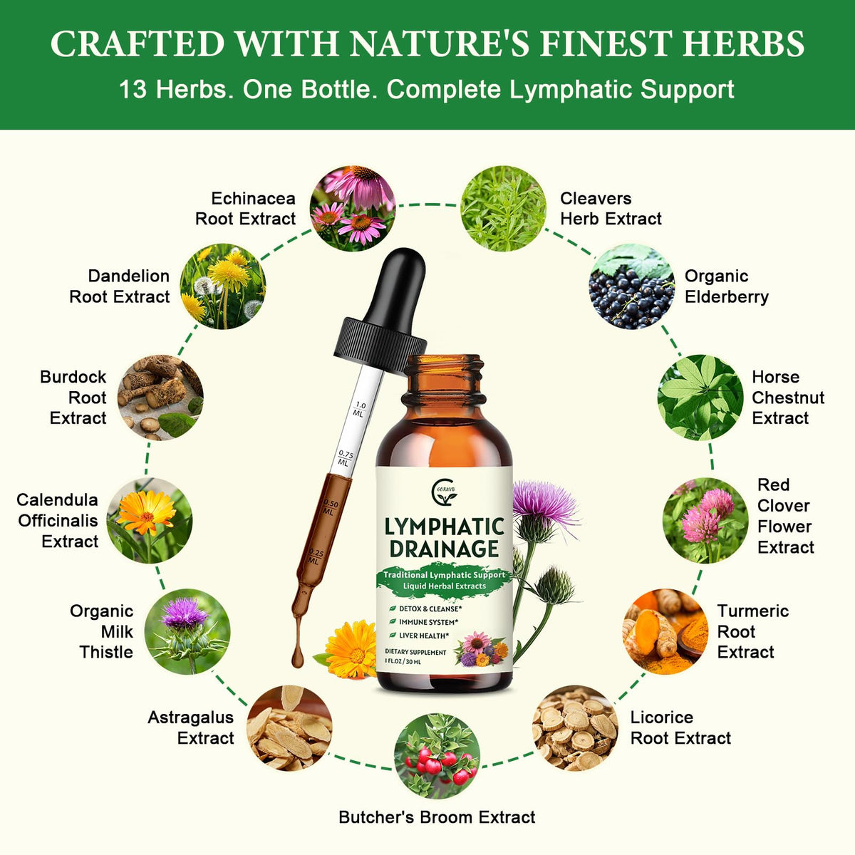 GORNVB Lymphatic Drainage Drops, Lymphatic Drainage Supplements with Echinacea, Cleavers, Dandelion, Red Clover, Horse Chestnut for Swelling Relief, Heavy Legs, Immune & Detox Support, Vegan, 2 fl oz