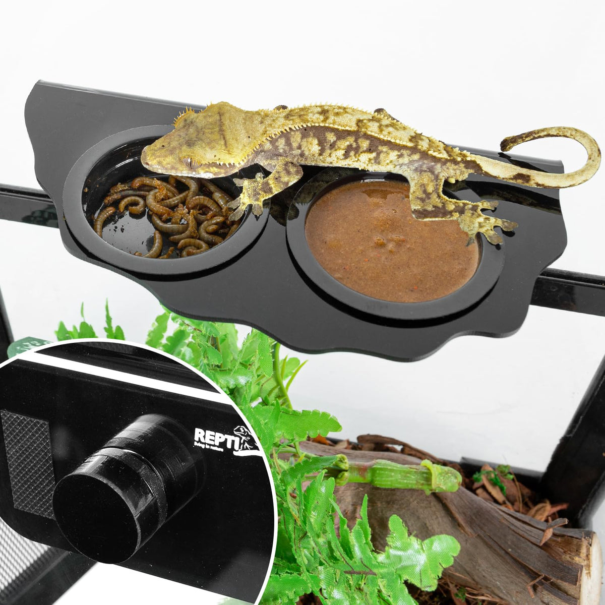 REPTI ZOO Magnetic Gecko Feeding Ledge, Acrylic Aboreal Feeding Ledge with 6PCS Cups, Strong Magnetic Reptile Ledge Gecko Food Ledge