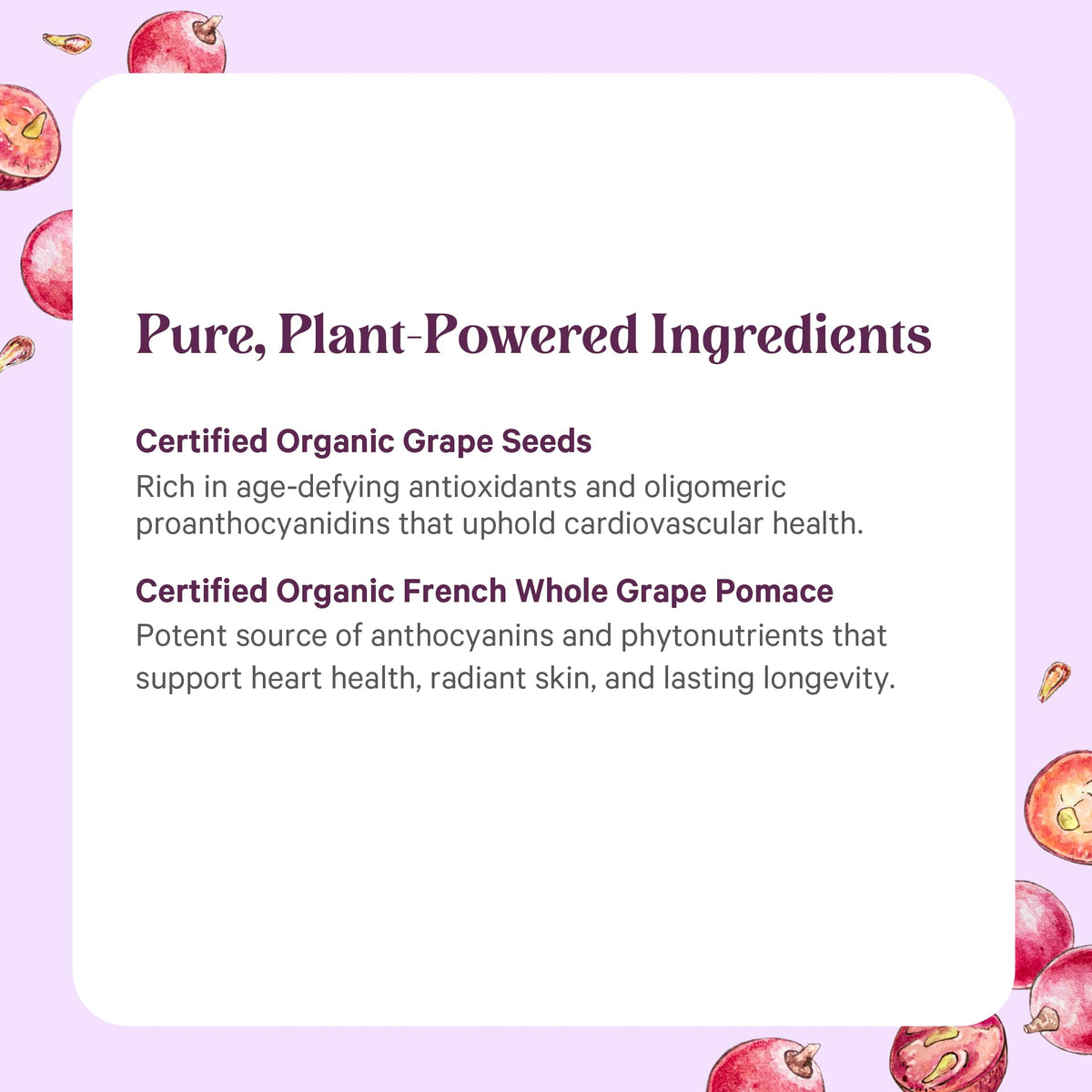 Pure Synergy SuperPure Grape Seed Extract (60 Capsules)