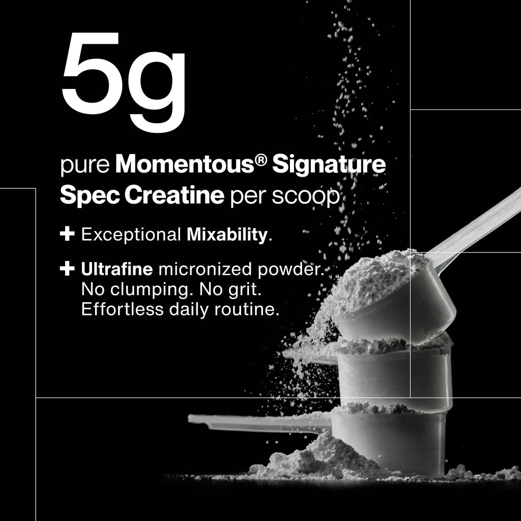 Momentous Creatine Monohydrate Powder, 5g per Serving, Unflavored | Supports Lean Muscle, Strength, Recovery, & Cognitive Function, NSF Certified for Sport, Non-GMO & Gluten-Free (90 Servings)