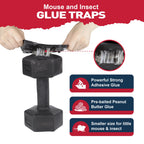 Glue Mouse Traps Indoor for Home -12 Pack Sticky MouseTraps Indoor for Safe Home Pest Control. Pre-Scented, Non-Toxic Glue Boards for Mice, Mouse & & Insects. Easy to Use