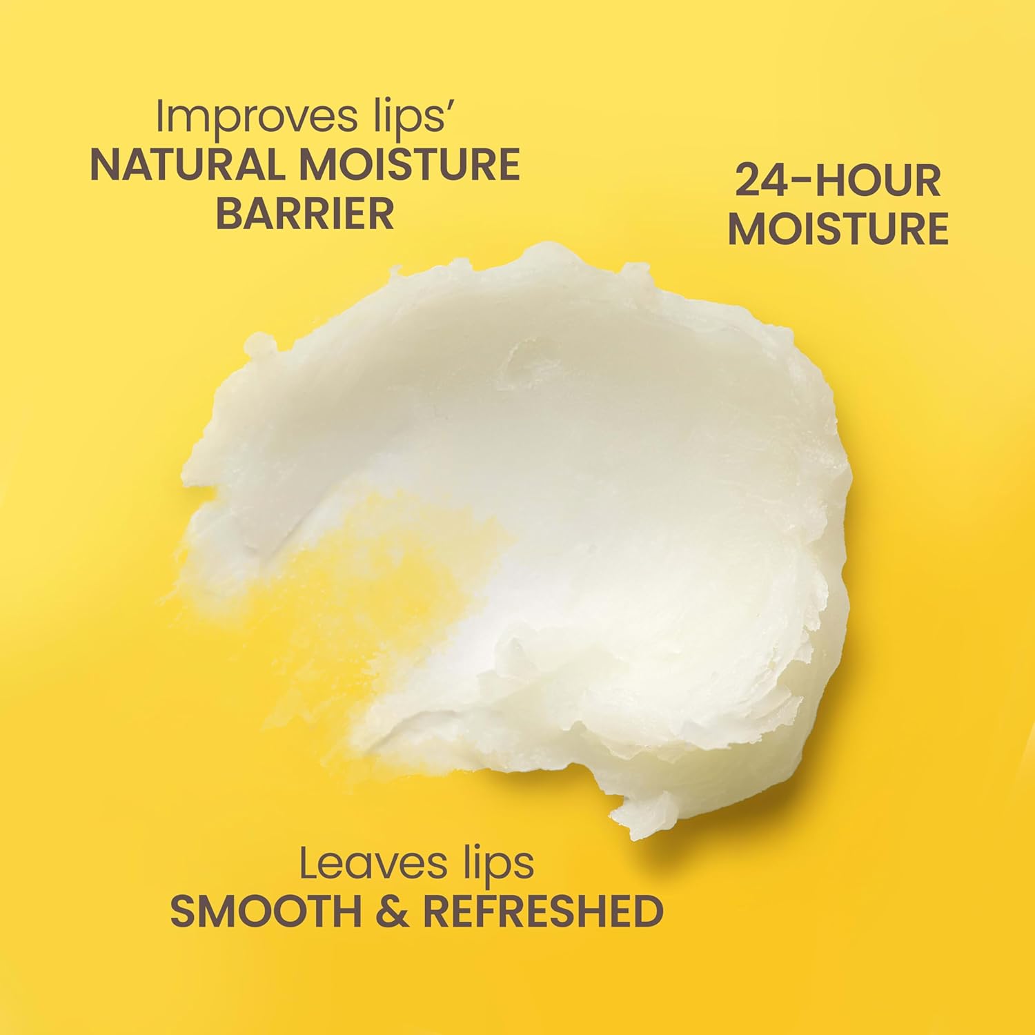 Buy now Burt's Bees Christmas Gifts - Garden Party Lip Balm Set for Stocking Stuffers, With Responsibly Sourced Beeswax, Natural Origin Lip Treatment, 4 Tubes, 0.15 oz. at indiglob india
