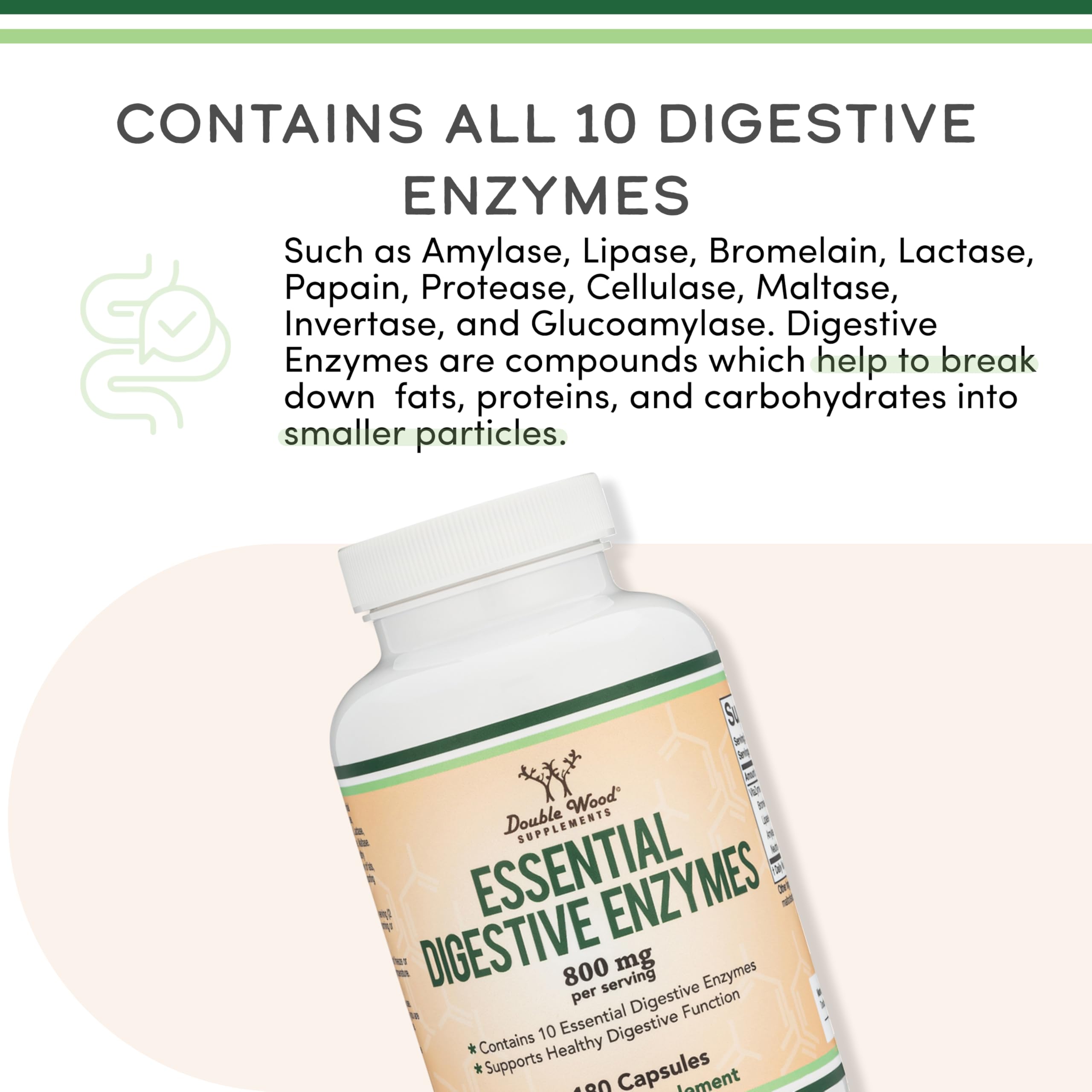 Digestive Enzymes 800mg, All 10 Essential Enzymes, Bloating + Meal Comfort | Digestive Enzyme Supplement for Bloating + Gas Relief, Amylase, Lipase, Lactase + Bromelain + 6 More, Take With Meals