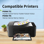 275XL 276XL Ink Cartridge Combo Pack Replacement for Canon 275xl and 276xl Ink cartridges for Pixma TR4720 TS3522 TS3520 TS3720 TS3722 TS3500 TR4722 TR4723 TR4700 High Yield (1Black/1Color)