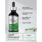 Horbäach Liquid Chlorophyll Drops | 2 fl oz | Natural Peppermint Flavor | Vegan, Non-GMO & Gluten Free Formula