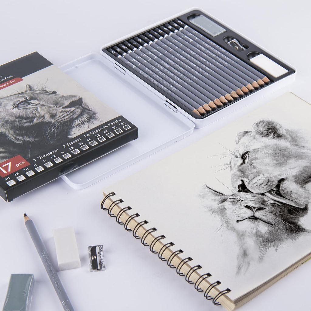 Brusarth Professional Sketch Graphite Pencils for Drawing Set,17 Pcs