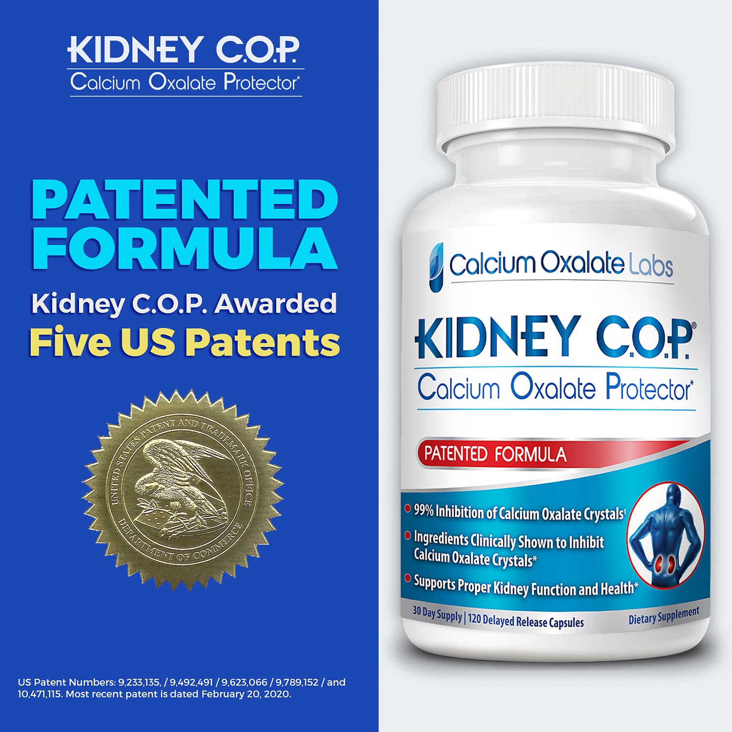 KIDNEY C.O.P. Calcium Oxalate Kidney Stone Support Supplement 3 Pack | Urologist Recommended, 99% Calcium Oxalate Inhibition, 5X Stronger Than Chanca Piedra, Patented Formula, 90-day supply