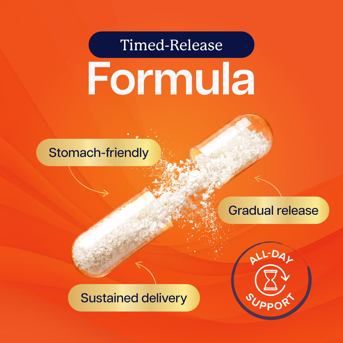 Vitamin C 1000mg, Immune Support, Timed-Release Capsules, 1 Year Supply