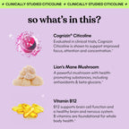 Lemme Focus Concentration & Brain Health Gummies (50 Gummies) | Cognizin Citicoline, Lion's Mane Mushroom, Vitamin B12 to Support Focus + Concentration - Gluten Free, Caffeine Free