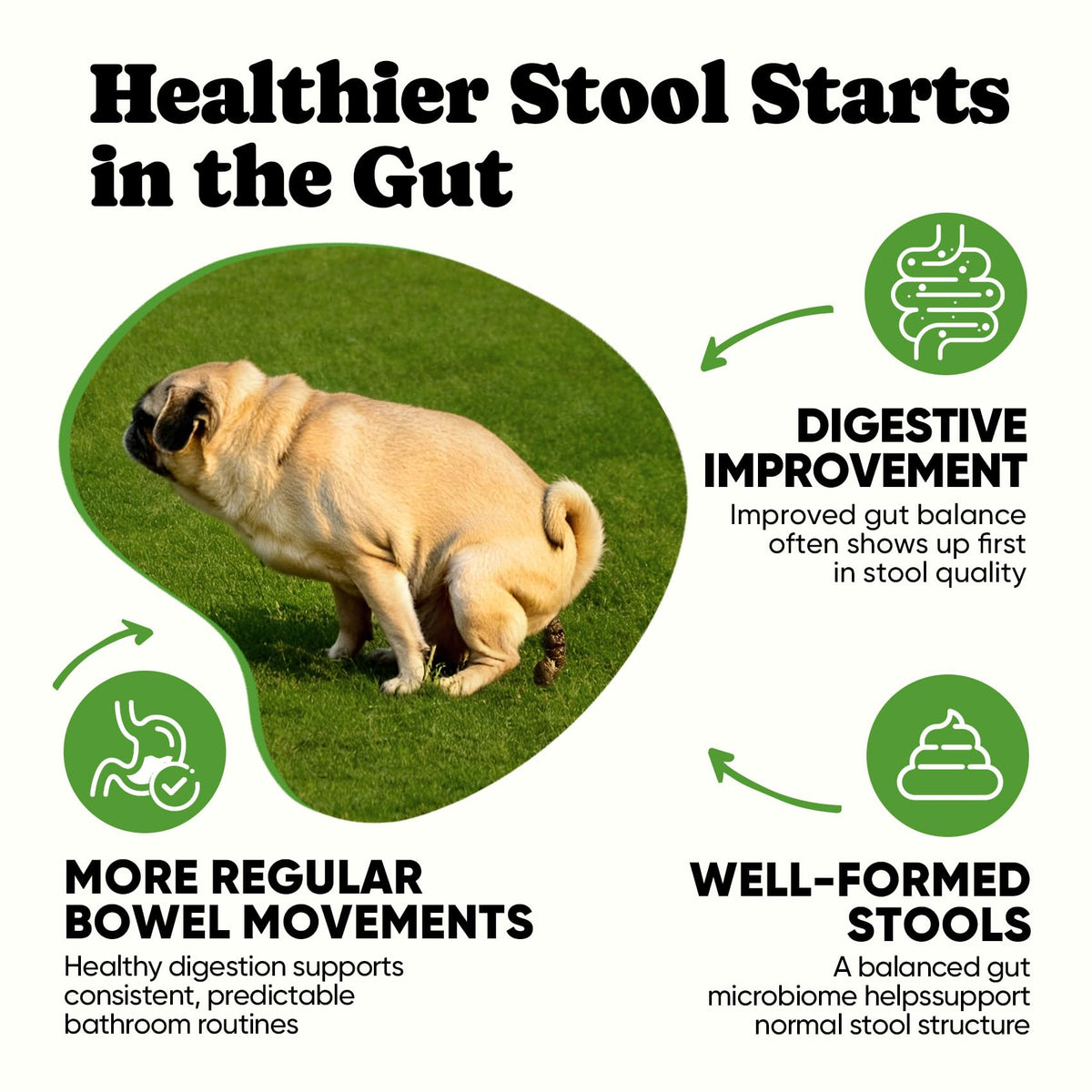 Probiotics for Dogs – Helps Digestion, Loose Stools, Gas & Sensitive Stomachs, Probiotics for Itchy Skin & Dog Yeast Infection, Immune & Fresher Breath with 4 Prebiotics & 5 Digestive Enzymes – 180 ct