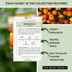Sow Right Seeds - Insect & Pest Repellent Seed Collection for Planting - Lavender, Catnip, Marigold, Peppermint & Lemon Grass - 5 Packets with Instructions for Home Garden - Natural Pest Solution
