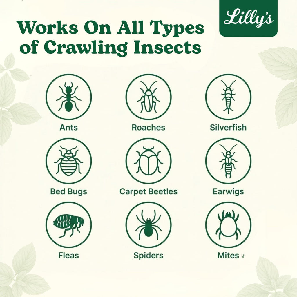 Diatomaceous Earth Food Grade with Peppermint Oil Crawling Insect Killer | Indoor Pest Control Powder for Bed Bug, Roach, Ant, Fleas | Lilly's naturals, 12 fl oz