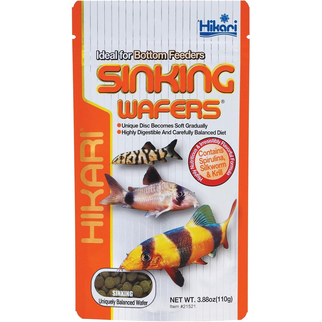 Buy now Hikari Tropical Sinking Wafers for Catfish, Loaches and Bottom Feeders 3.88 oz 3.88 Ounce (Pack of 1) at indiglob india