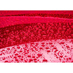 Buy now CARPRO CQUARTZ UK 3.0 - Ceramic Coating for Cars, Quartz Based Nanotechnology, Bonds to Paint, Glass, Metal and Plastic - (30ml Kit w/Reload 2.0) at indiglob india