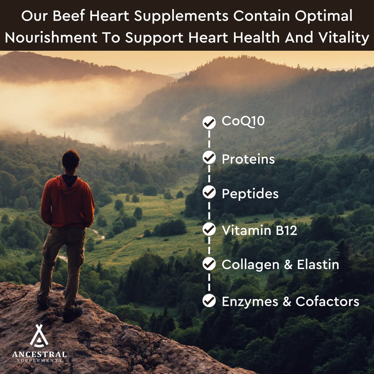Ancestral Supplements Grass Fed Beef Heart Supplement, CoQ10, 180 Ct