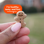 Buddy Biscuits 8 oz Bag of Softies Soft & Chewy Dog Treats, Peanut Butter